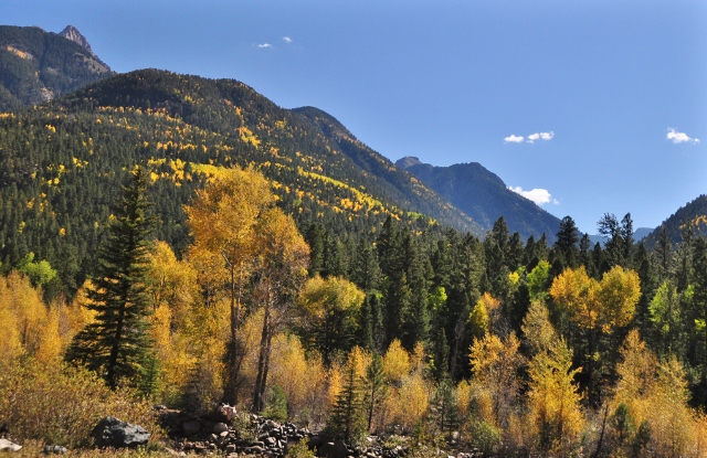 fall foliage along the route